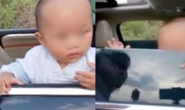 升妈被爆料的视频,揭秘背后惊人真相